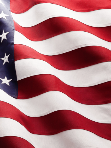 The American flag